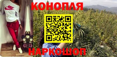 гидра Кингисепп